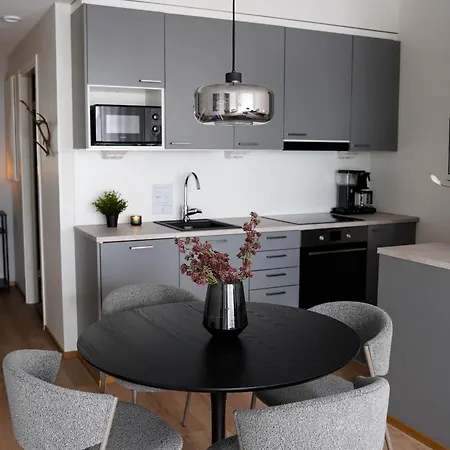 With Sauna & Parking In The Center - Lapnest Lejlighed *