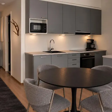 With Sauna & Parking In The Center - Ailo Apartment